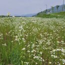 경기둘레길 이천38코스 이미지