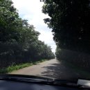 창렬농장 이미지