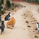 잘가또와 이미지