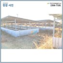 신리태양광발전소 이미지