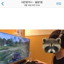 대전브라운도트 월평점 이미지