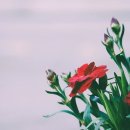 은혜문구 이미지