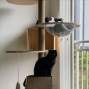 카멘샵(승리자동차) | 현대자동차 공식몰 현대샵 순정 차량용 핸디용 무선 청소기 후기