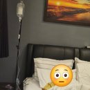 대화약품(주) | 발리밸리 후기 | 증상 짱구병원 왕진의사 Prime Plus Medical 여행자보험 청구