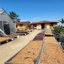 석권농장 이미지