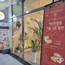 엉클주스 | 기장 치즈케이크가 너무 맛있는 카인드엉클 카페 솔직후기