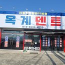 미스터덴트