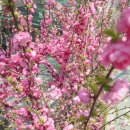 가좌근린공원 이미지