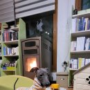 공항 가까운 전원주택 펫시터 이미지