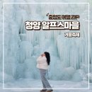 새 조형물 및 분수 | 2026 청양 알프스마을 얼음분수축제 주차 오픈런 후기