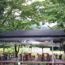 김봉창 코다리 이미지