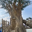 생명공원 | 청주 도심 속 힐링명소 생명누리공원 피크닉 후기