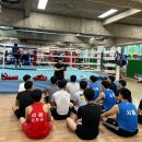 복싱바이러스 송파방이점 이미지