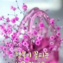 원 주 공 연 2 탄 ♥ 이미지