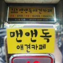 내동애견 이미지