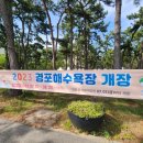 옥계해변 남쪽 | [강릉해수욕장 2024]#강릉바다 #강릉수영 #강릉바닷가수영 #경포대 #경포해수욕장 #정동진해수욕장...