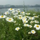 한강장어 - 남양주시 진건오남로 679 | 한강장어