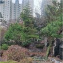 판교봇들공인중개사사무소 | 판교역에서 내 집 마련 꿈꾸기: 봇들7단지를 중심으로 한 부동산 탐방기