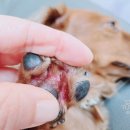 새로나약국 이미지