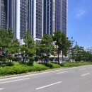 롯데드메르공인중개사사무소 이미지