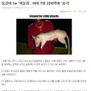 [어머나] 몸길이 1m ‘괴물쥐’, 아이 2명 잡아먹어 ‘충격’ 이미지