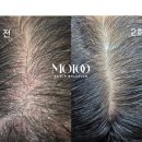 오케이헤어 네이버블로그