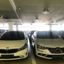 신촌카서비스 이미지