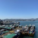 사천충무김밥 이미지