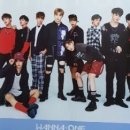 아미고
