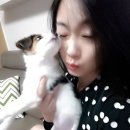 선우회관