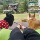 네이쳐스토리