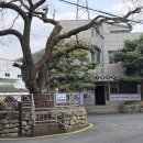 눈꽃처럼 밝은 설화마을 이미지