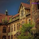 참조은노인복지센터 이미지