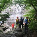 괴정4동-10 이미지