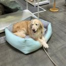 (주)민트토이 이미지