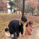 늘솔길근린공원(4호) 공원화장실 네이버블로그