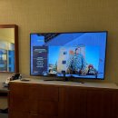 2051 | 에어포트 (The Westin San Francisco Airport) 솔직후기, 근처 가볼만한 곳 (비행기 이착륙명소