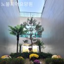 노블피아 요양원
