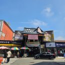 현대애견 | 내돈내산 안동찜닭 맛집 맵기 가격 주말 웨이팅 주차 애견동반 현대찜닭 시식후기