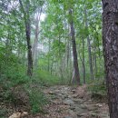 연악산_숲길(등산)1코스 | 사패산 안골계곡 코스 후기 둘레길 같은 숲길 성불사 하산 코스