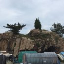 왕돌초 - 울진군 울진북로 1116 | 왕돌초