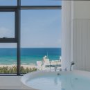 스테이하몽 이미지