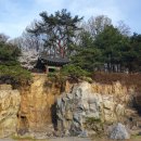 개나리공원 농구장 이미지