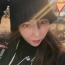 알파 인더스트리 MA-1 레귤러 코디(러닝하이 , 아조바이아조 , 비에스래빗 , 덩크로우범고래)