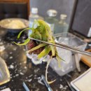 해운숯불갈비 이미지