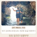 전촌 | 경주 가볼만한 곳 경주바다 경주 감포해수욕장 전촌용굴 방문후기 꿀팁 알려드려요