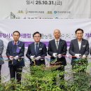 강서구-52 헤럴드경제