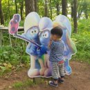 서대감족발보쌈 이미지