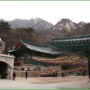 도선사 티스토리