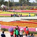 태안상회 이미지